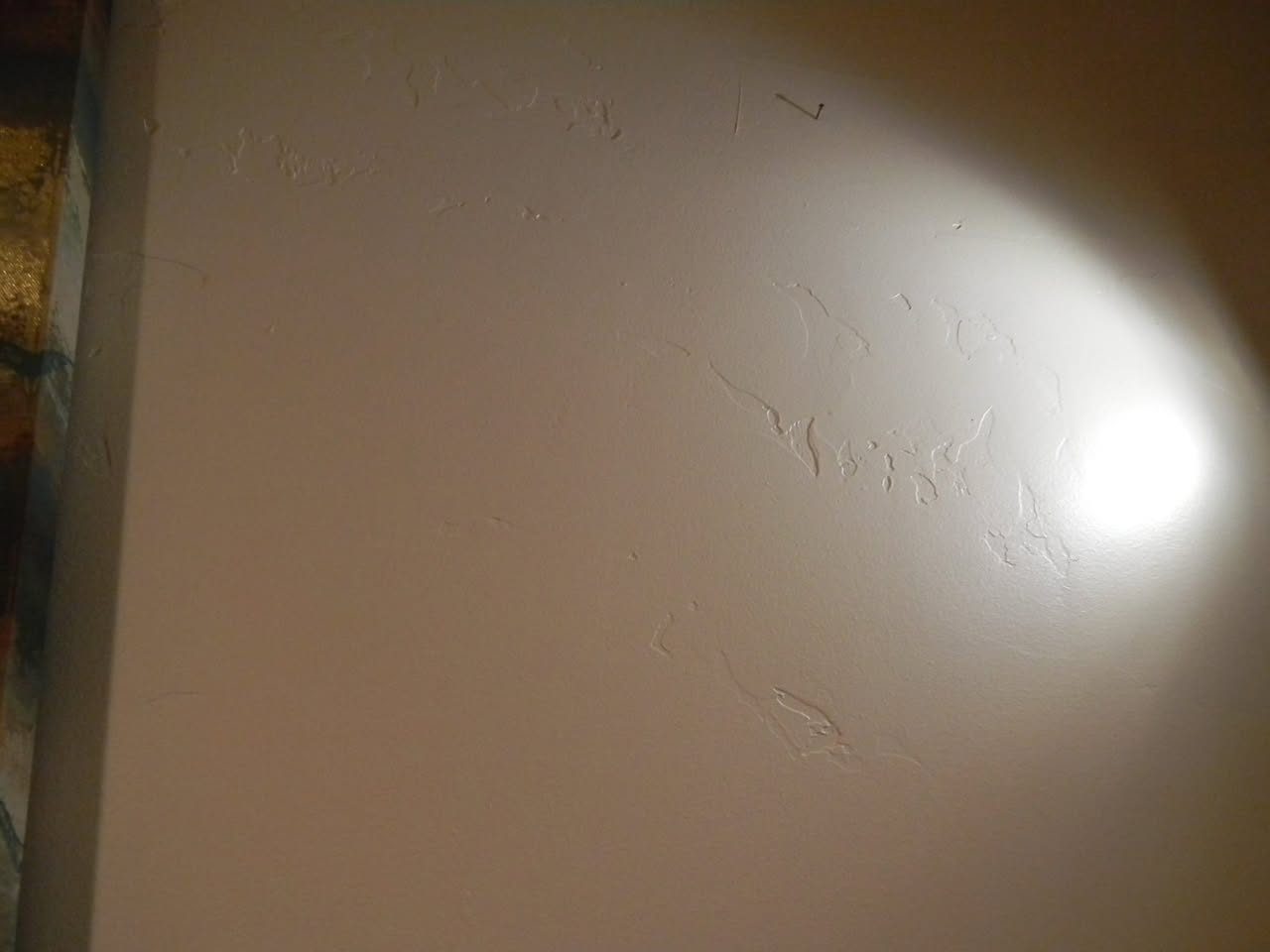 Close-up of a textured wall surface under raking light